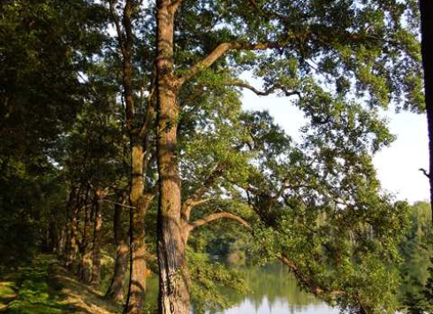 VON PELHŘIMOV AUF DEN KŘEMEŠNÍK ZUM AUSSICHTSTURM UND SEILPARK