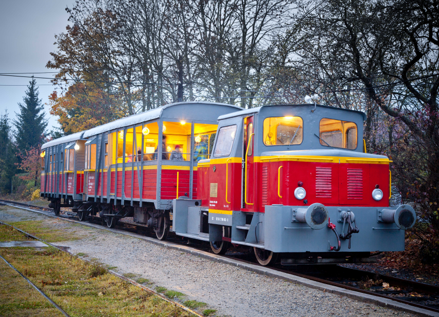 Výletní vlak na trati Moravské Budějovice – Jemnice