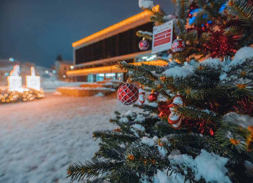 VÁNOČNÍ TŘEBÍČ 2025