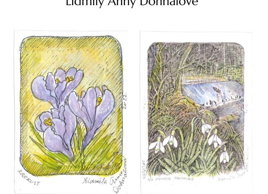 Výstava kolorovaných kreseb přírody a míst Vysočiny malířky a ilustrátorky Lidmily Anny Dohnalové