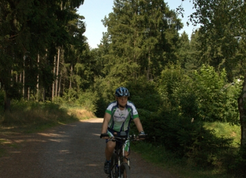 FROM MORAVSKÉ BUDĚJOVICE TO JEMNICE THROUGH FORESTS, MEADOWS AND VILLAGES