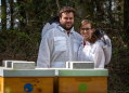 Včelařství Domovina – Med od včelaře