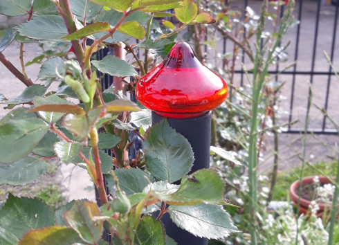 Včelnička, Kamenice nad Lipou