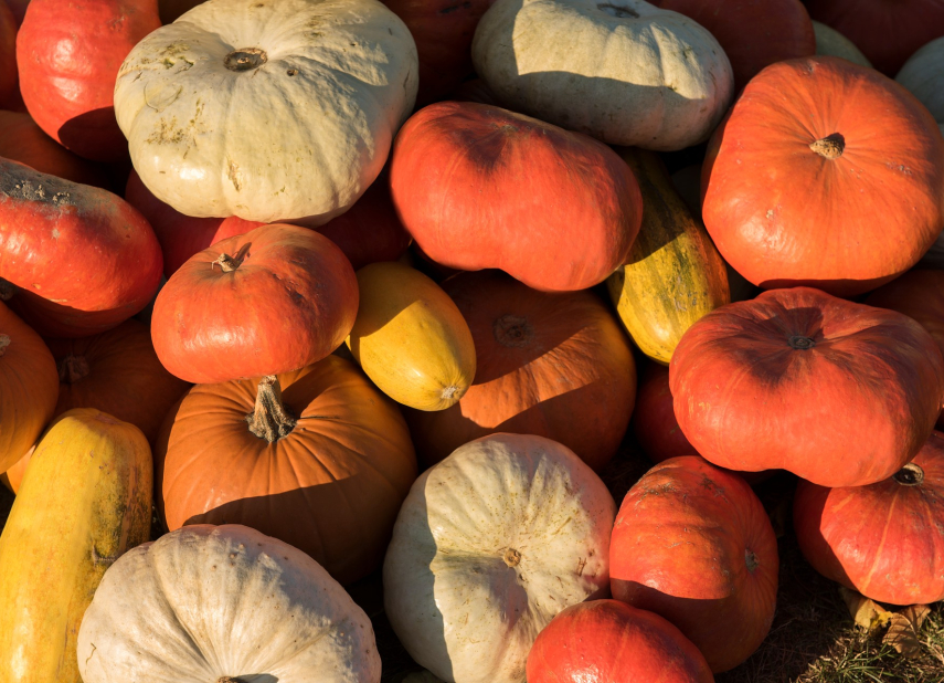 Halloween v Alternátoru