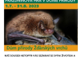 Náš soused netopýr