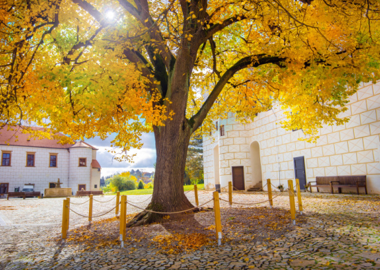 Podzimní vítr přivane v říjnu pestrobarevný kulturní kalendář.