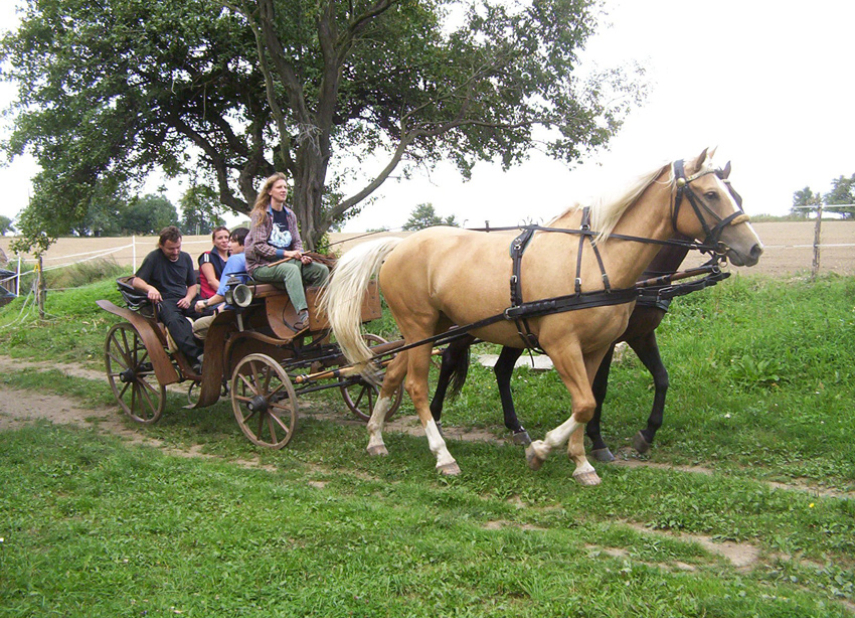 Sedlářství ve staré škole