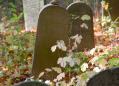 Jewish cemetery - typhus Havlíčkův Brod