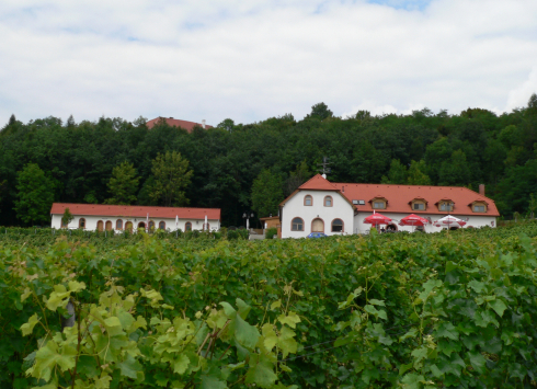 WEINLEHRPFAD SÁDEK