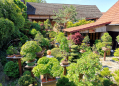 Bonsai zahrada