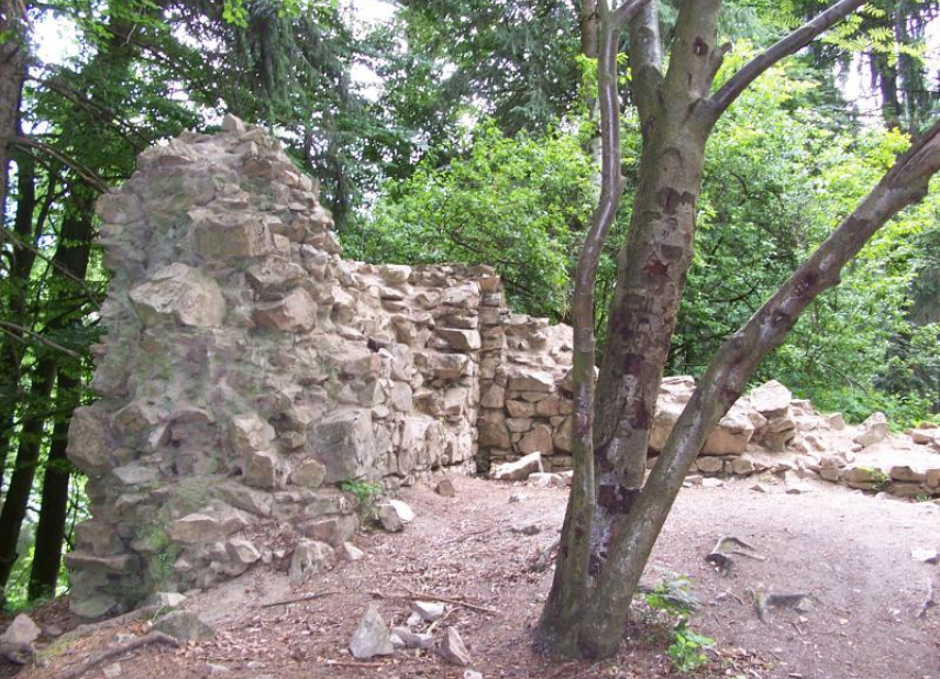 Zřícenina hradu Templštejn