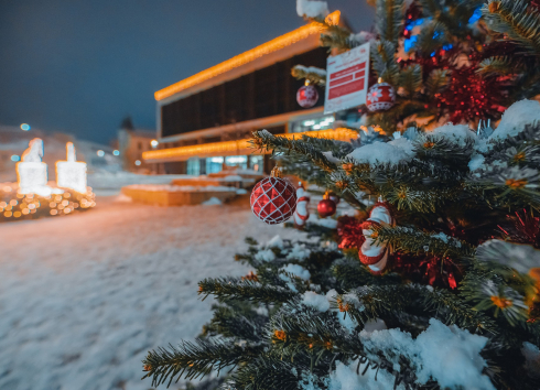 VÁNOČNÍ TŘEBÍČ 2025