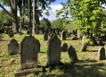 Židovský hřbitov Větrný Jeníkov