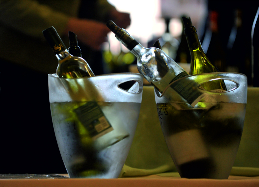 13. FESTIVAL VÍNA JIHLAVA