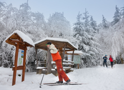 Běžecké lyžařské trasy na Humpolecku