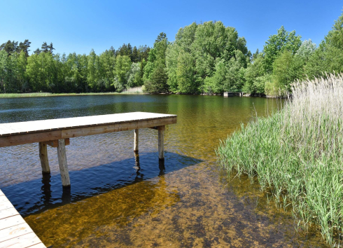 Zamilujte si přírodní koupaliště Plačkov
