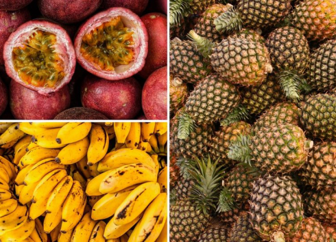 Exotické ovoce v Třebíči - prodejní jarmark