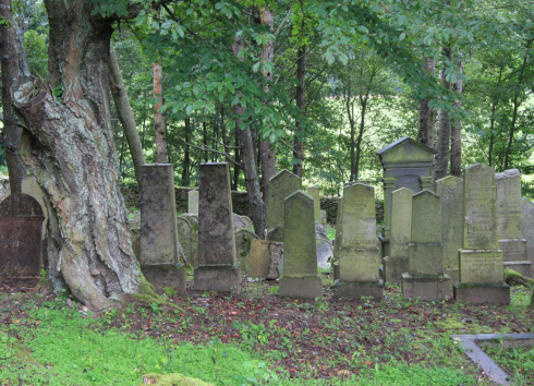Židovský hřbitov Horní Cerekev