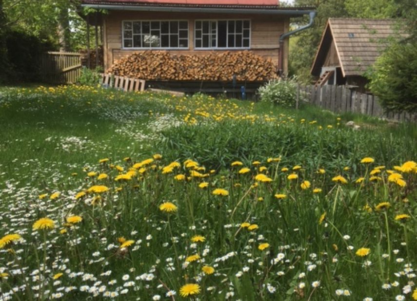 Chata u řeky Svratky