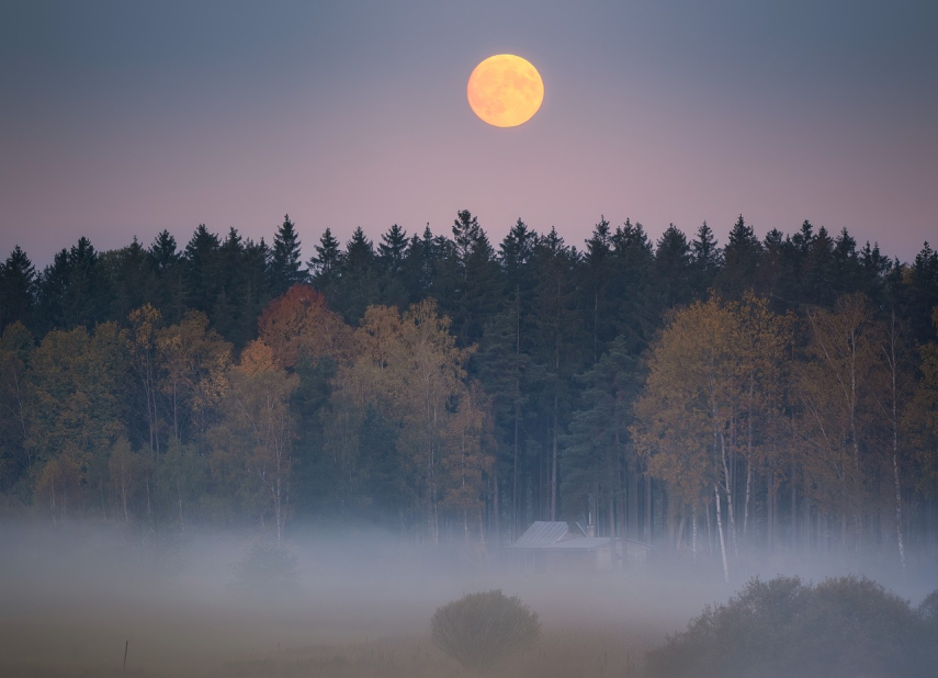 Věda v muzeu - Ing. Tomáš Přibyl: Ze Země (znovu) na Měsíc aneb kdy se dočkáme dalšího „malého kroku pro člověka“?