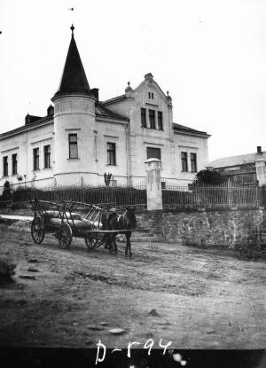 Smeykalova vila