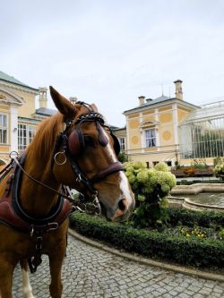 Světlá nad_Sázavou_Simona_Kratochvílová_1