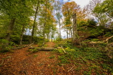 Cisterciácká stezka A – dlouhá (foto 12)