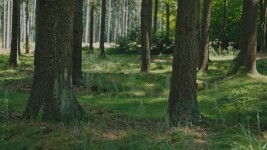 Po stopách Kosmonauta na kole: z Humpolce přes Želiv a Pelhřimov na Křemešník (foto 9)