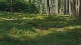 Po stopách Kosmonauta na kole: z Humpolce přes Želiv a Pelhřimov na Křemešník (foto 12)