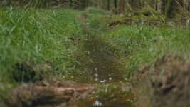 Po stopách Kosmonauta na kole: z Humpolce přes Želiv a Pelhřimov na Křemešník (foto 5)