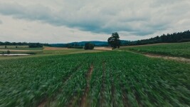 Po stopách Kosmonauta na kole: z Třebíče k Dalešické přehradě a Mohelenské stepi (foto 5)