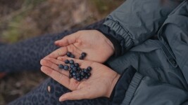 Po stopách Kosmonauta na kole: z Telče do lesů pod Javořicí (foto 2)
