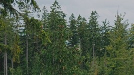 Po stopách Kosmonauta na kole: Žďárskými vrchy kolem Velkého Dářka (foto 6)