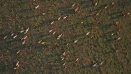 Po stopách Kosmonauta na kole: z Havlíčkova Brodu přes Lipnici do Světlé nad Sázavou (foto 2)