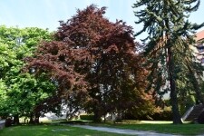 Park Hradu Kámen (foto 5)