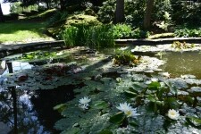 Park Hradu Kámen (foto 6)