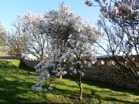 Park Hradu Kámen (foto 7)