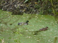 Naučná stezka Balinské údolí (foto 6)