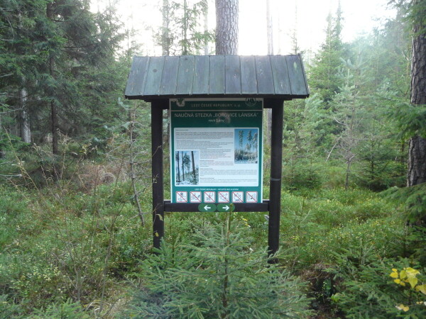 Naučná stezka Borovice Lánská (foto 1)