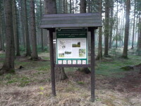 Naučná stezka Borovice Lánská (foto 6)