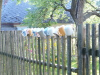 Naučná stezka Krátká (foto 6)