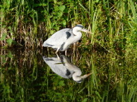 Naučná stezka Babín (foto 2)