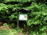 Lesní naučná stezka Chaloupky (foto 5)