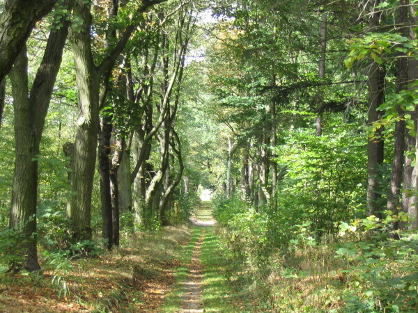 Naučná stezka Bažantnice (foto 1)