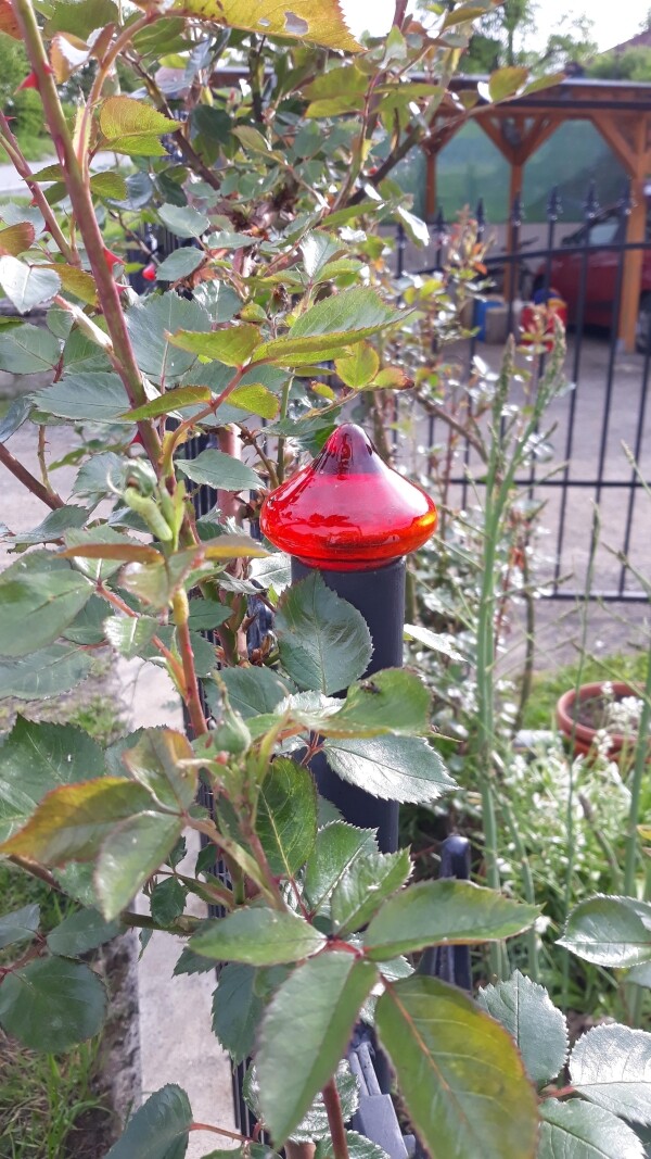 Včelnička, Kamenice nad Lipou (foto 1)