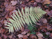 Naučná stezka Hrotovicko (foto 2)