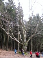 Žižkova studánka (foto 2)