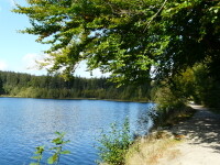 Naučná stezka Velký Pařezitý rybník (foto 3)