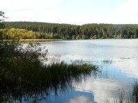 Naučná stezka Velký Pařezitý rybník (foto 5)