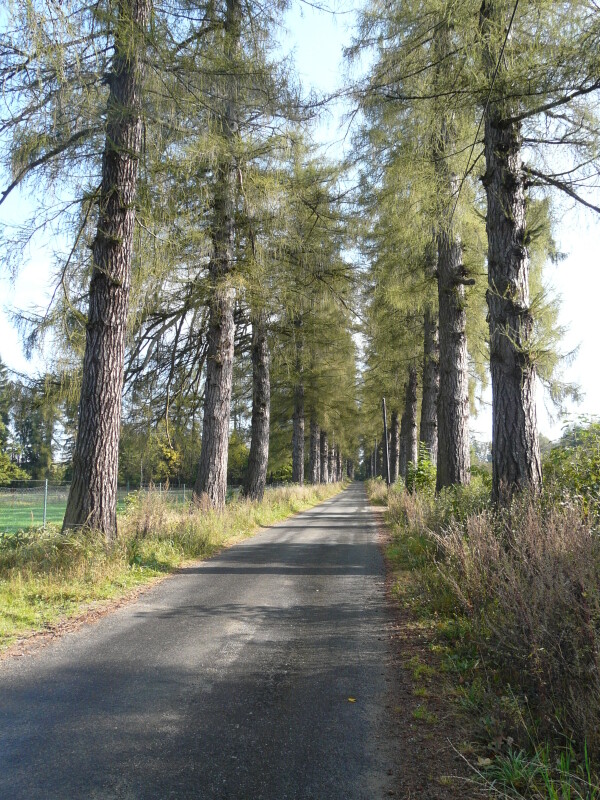 Naučná stezka Vítězslava Nováka (foto 1)